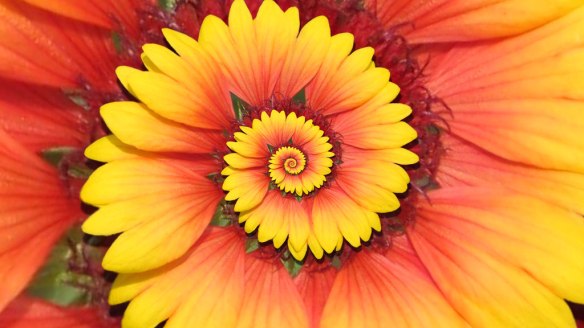 254387060_62e4d2c80d_b